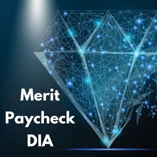 Merit Dia Options Program